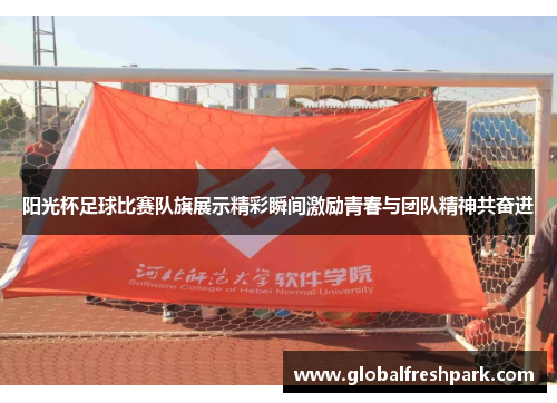 阳光杯足球比赛队旗展示精彩瞬间激励青春与团队精神共奋进