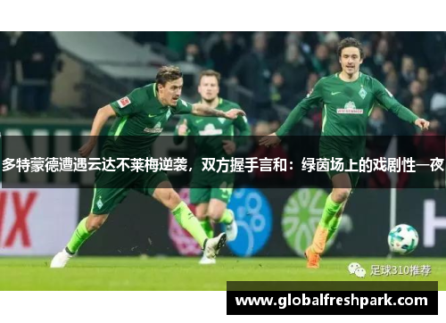 多特蒙德遭遇云达不莱梅逆袭，双方握手言和：绿茵场上的戏剧性一夜