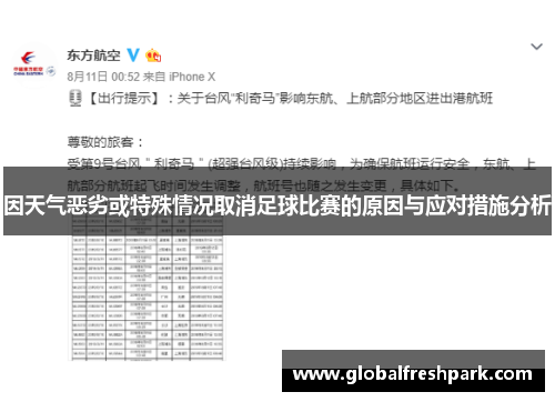 因天气恶劣或特殊情况取消足球比赛的原因与应对措施分析