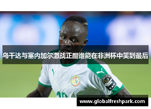 乌干达与塞内加尔激战正酣谁能在非洲杯中笑到最后